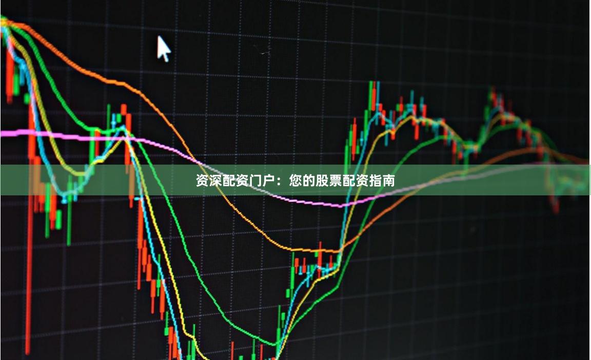 资深配资门户：您的股票配资指南
