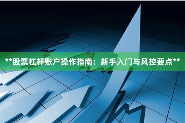 **股票杠杆账户操作指南：新手入门与风控要点**