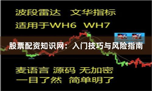 股票配资知识网：入门技巧与风险指南