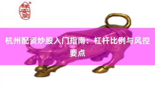 杭州配资炒股入门指南：杠杆比例与风控要点