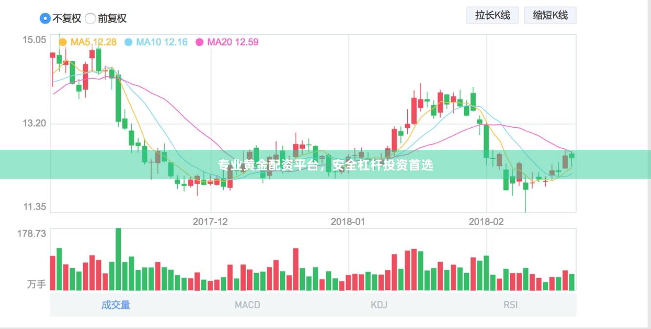 专业黄金配资平台，安全杠杆投资首选